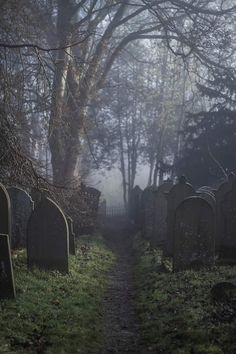 an old cemetery with many headstones in the grass and trees behind it on a foggy day