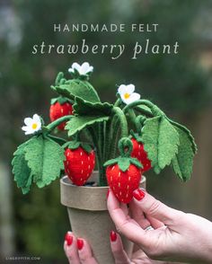 a handmade felt strawberry plant in a pot