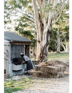 a man standing next to a pile of hay near a tree