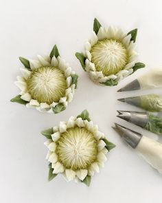 four white flowers with green leaves are arranged in the shape of three heads and five other tools