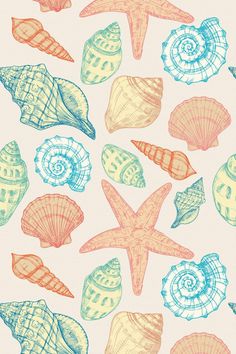 colorful sea shells and starfish on a white background