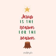 Jesus is the reason for the season Blessings Bags, Salvation Quotes, Nativity Story, Jesse Tree, Go To Church, Quotes Christmas, The Nativity Story, About Jesus, The Nativity