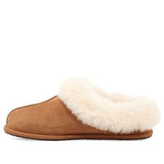 Shop (WMNS) UGG Moraene 'Chestnut' 1118981-CHE at KICKS CREW — your go-to for authentic, stylish sneakers. Whether for fashion, performance, or collection, find your perfect pair with us. Classic Brown Slippers With Suede Lining, Classic Brown Sheepskin Slippers, Classic Shearling Slippers For Winter, Classic Winter Slippers With Suede Lining, Classic Sheepskin Slippers With Round Toe, Classic Sheepskin Slippers For Winter, Classic Suede Winter Slippers, Classic Closed Toe Winter Slippers, Brown Sheepskin Slippers For Fall