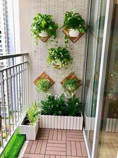 an outdoor balcony with potted plants on the wall and green grass in the floor