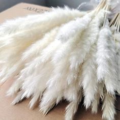 white feathers are laid out on top of a cardboard box