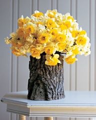 yellow daffodils in a tree stump vase