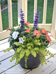 a potted plant sitting on top of a wooden table next to a white fence