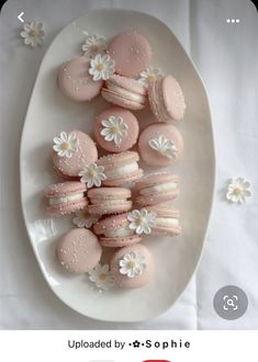 a white plate topped with pink macaroons covered in frosting and daisies