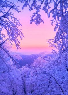 snow covered trees and mountains in the distance at sunset or dawn, viewed through a circular opening