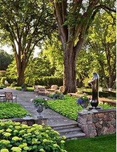 an outdoor garden with green plants and trees