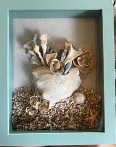 a shadow box with shells and seashells in it