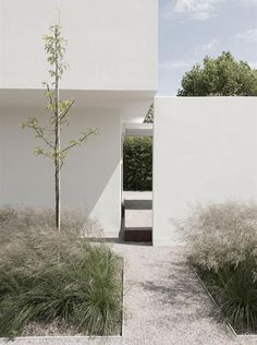 an entrance to a white building with trees and bushes in the foreground, on a sunny day