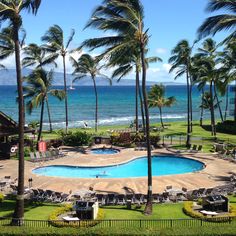 an empty swimming pool surrounded by palm trees next to the ocean on a sunny day