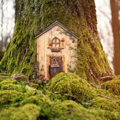 a small house built into the side of a moss covered tree in a wooded area