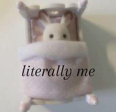 a stuffed animal in a pink blanket with the words literally me on it's side