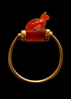 a gold ring with a red glass animal on it's center and a black background