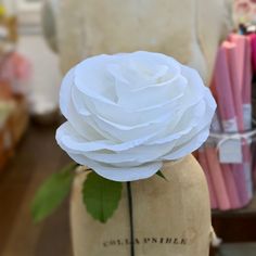 a white rose sitting on top of a vase