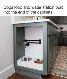 a dog food and water station built into the end of the cabinets