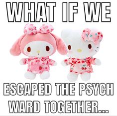 two hello kitty stuffed animals with caption that says, what if we escaped the psych wardd together?