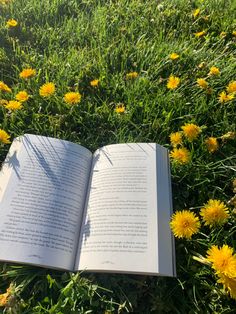 an open book laying in the grass with dandelions