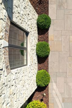 an outside view of a house with stone walls and green plants in the front yard