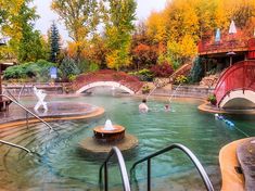 people are swimming in the water at an outdoor pool with stone steps and red bridge