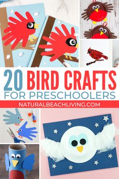 20 bird crafts for preschoolers to make with paper plates and construction paper cups,