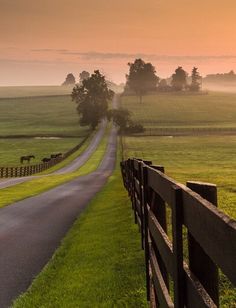 a country road with horses grazing on the grass and trees in the distance at sunset