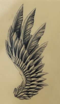 a drawing of a bird with feathers on it's back