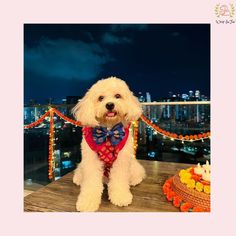 a white dog wearing a bow tie sitting on top of a wooden table in front of a cityscape