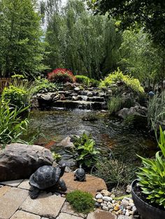 a pond surrounded by plants and rocks with a turtle statue in the middle next to it