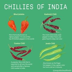 chillies of india info graphic