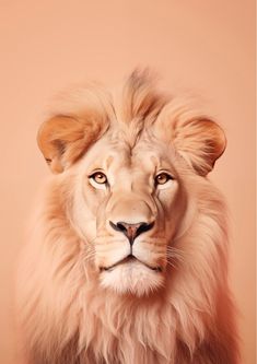 a close up of a lion's face on a pink background