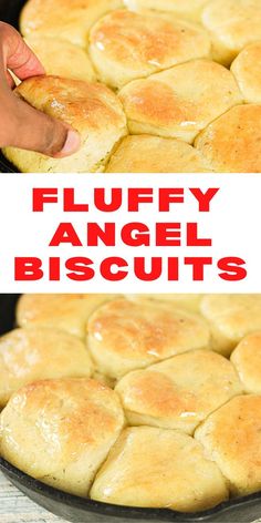 Herbed Angel Biscuits Recipe Easy Homemade Biscuits Sugar Spun Run, Angel Biscuits Trisha Yearwood, Yeast Biscuit Recipe, Biscuits Without Yeast, Yeast Biscuits Easy, Angel Biscuits With Self Rising Flour, Baking With Yeast, Angel Buiscits, Angle Biscuit Recipe