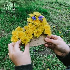 two hands holding yellow flowers on top of a piece of cardboard