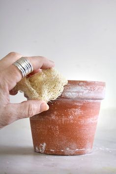 a hand is holding a piece of bread over a clay pot filled with water and dirt