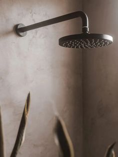 a shower head and hand held shower faucet in a bathroom