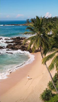 an aerial view of a beach with palm trees