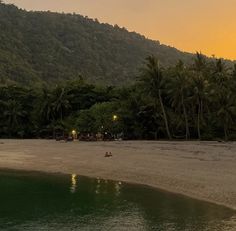 people are sitting on the beach in front of some trees and mountains at sunset or dawn