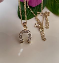 "Metal 14k Yellow Gold Pure gold / solid gold Stones Cubic zirconia FinishHigh Polish 14k Yellow Gold spiga chain included Available sizes 16\" , 18\" 20 \" inches long" Yellow Gold Cubic Zirconia Charm Necklace, Tarnish Resistant, Yellow Gold Charm Necklaces With Cubic Zirconia, Tarnish Resistant Yellow Gold Cubic Zirconia Chain Necklace, Gold-tone Jewelry With Diamond Accents As A Gift, Gold-tone Jewelry With Diamond Accents For Gift, Yellow Gold Clavicle Chain Charm Necklace In Cubic Zirconia, Gold Diamond Charm Necklaces Tarnish Resistant, Gold-tone Diamond Necklaces For Gifts, Gold-tone Diamond Necklace For Gift