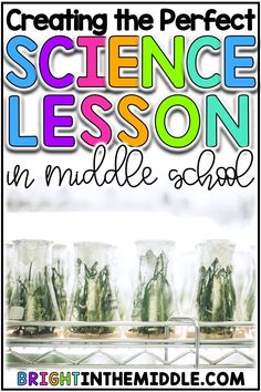 science lesson for middle school students with text reading creating the perfect science lesson