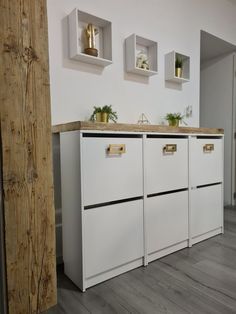 a kitchen with white cabinets and wooden flooring next to wall mounted shelves filled with potted plants