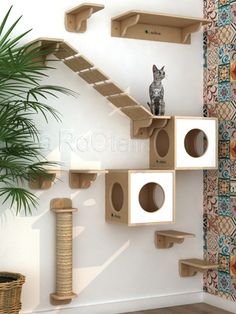 a cat sitting on top of a wooden shelf next to a potted palm tree