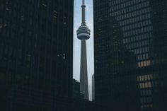 the cn tower in toronto, canada is silhouetted against the skyline's skyscrapers