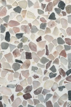 a close up view of some rocks on the ground with white and brown colors in it