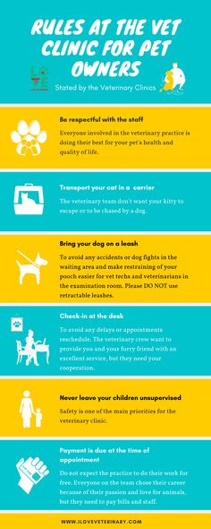 the rules for pet owners to use