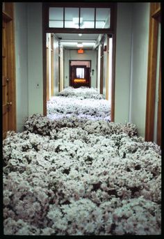 the hallway is full of white flowers