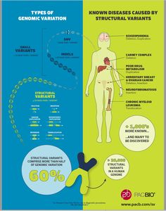 Types of Genomic variation | PACBIO Dna Sequencing, Dna Sequence, Disease, Portfolio