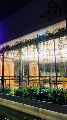 the building is lit up at night and has plants growing in it's windows