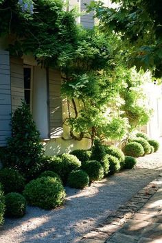 some bushes and trees in front of a house